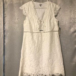 Tobi Short sleeve lace dress
